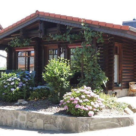 Ferienwohnung Blockhaus Juka Vinningen エクステリア 写真