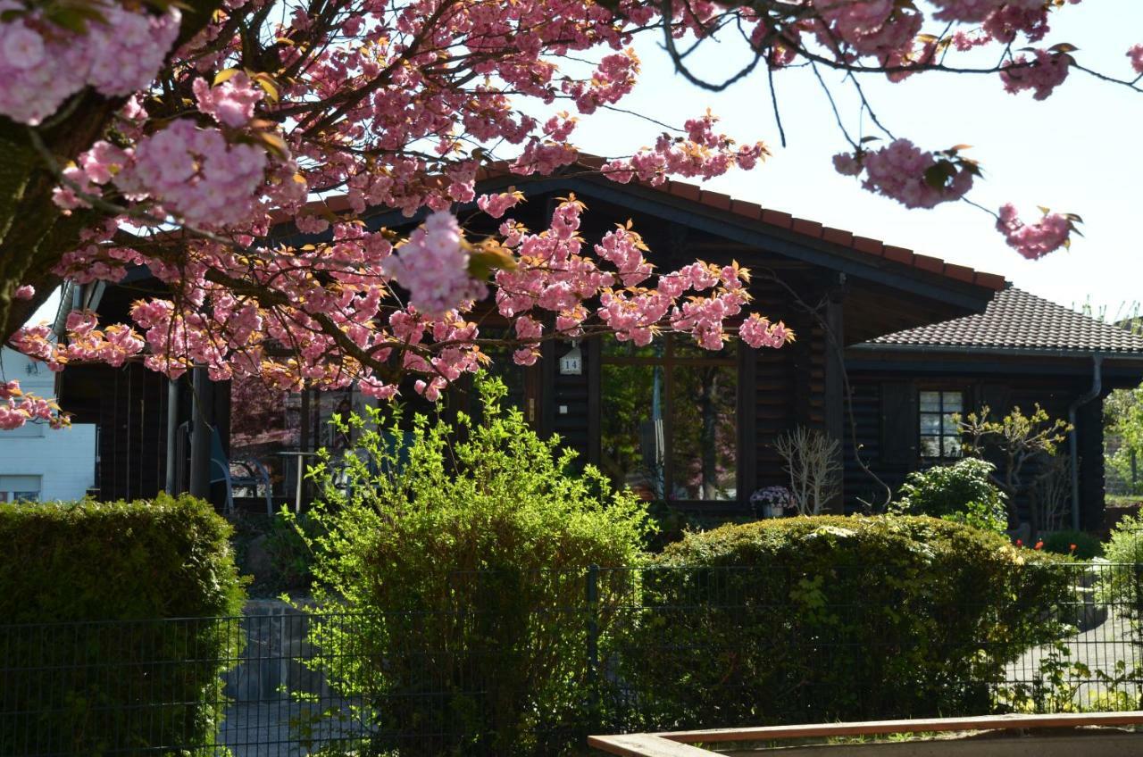 Ferienwohnung Blockhaus Juka Vinningen エクステリア 写真