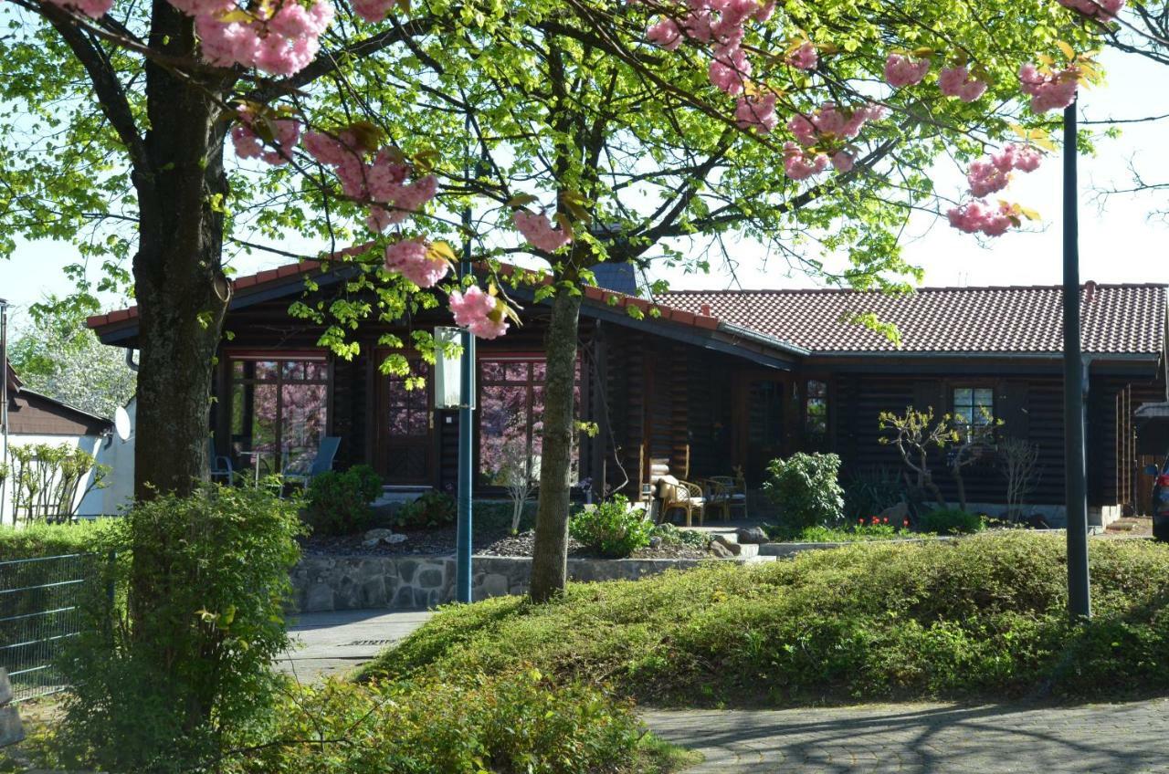 Ferienwohnung Blockhaus Juka Vinningen エクステリア 写真